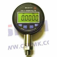 (sh)־܉SPMK2001(0.2%)